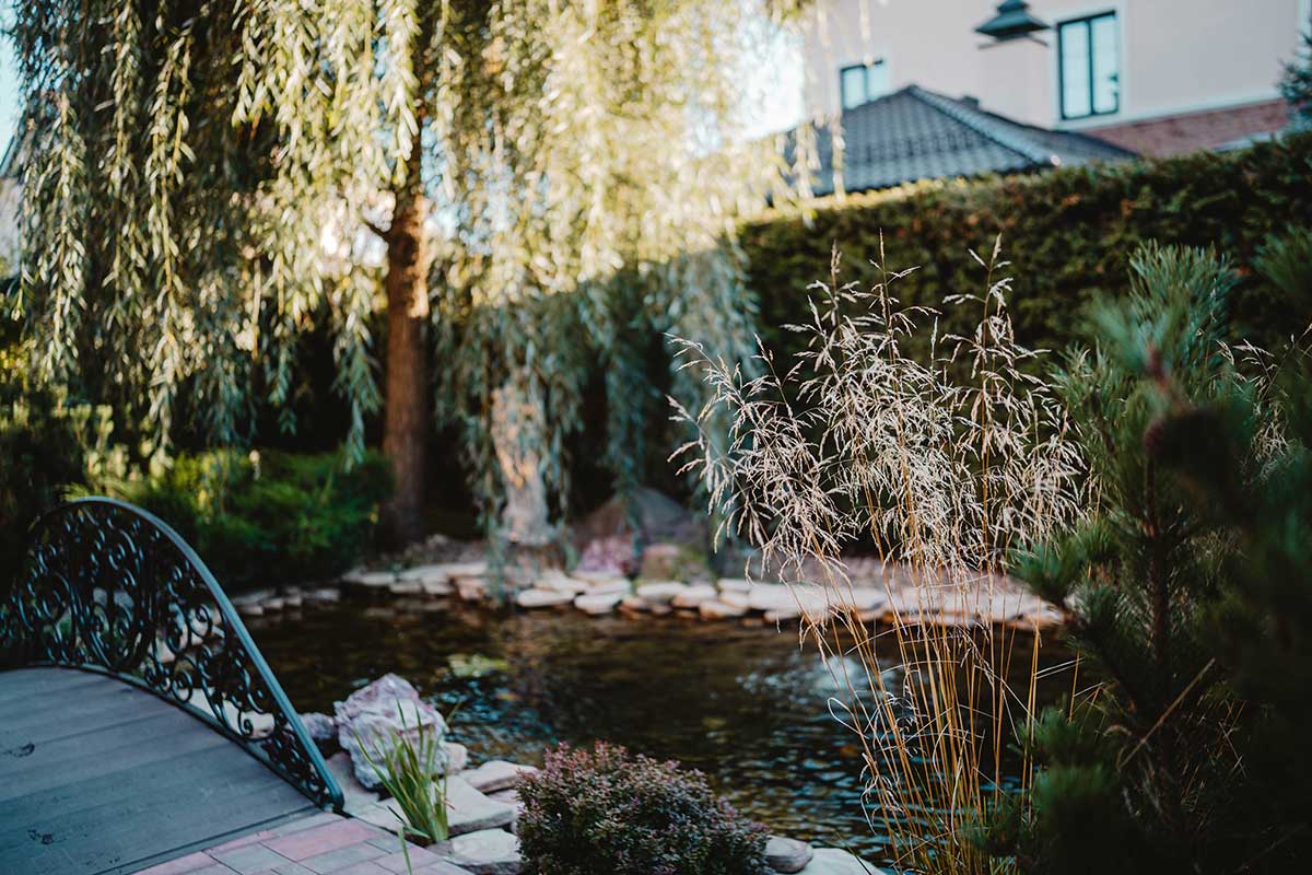 Проект Рубин Эстейт