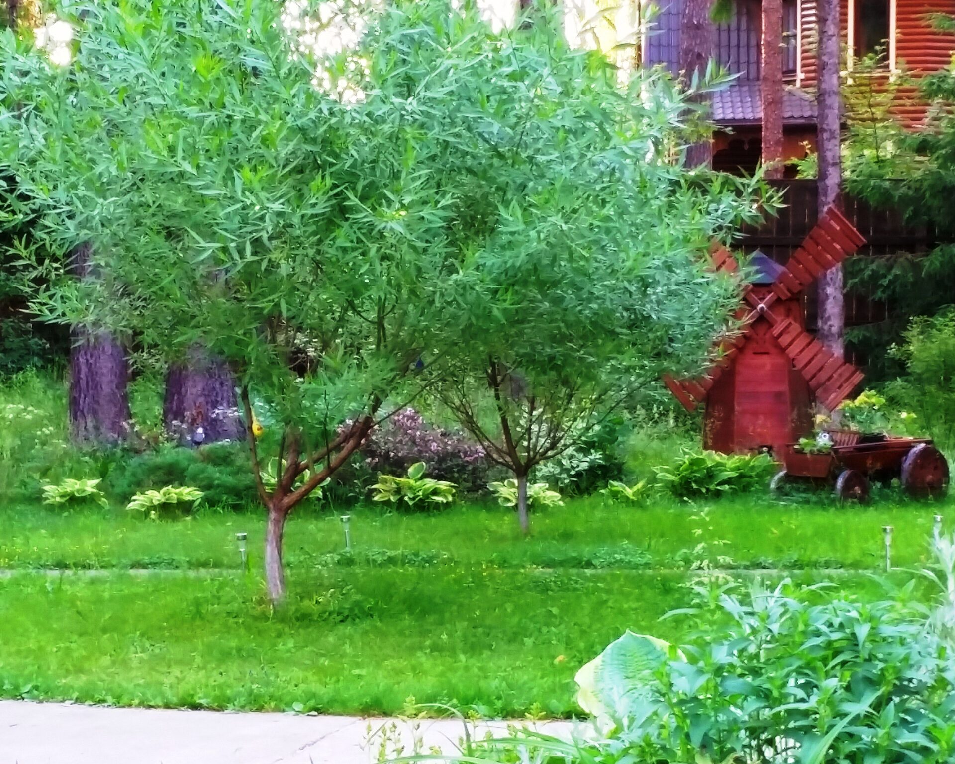 Проект Слава 1