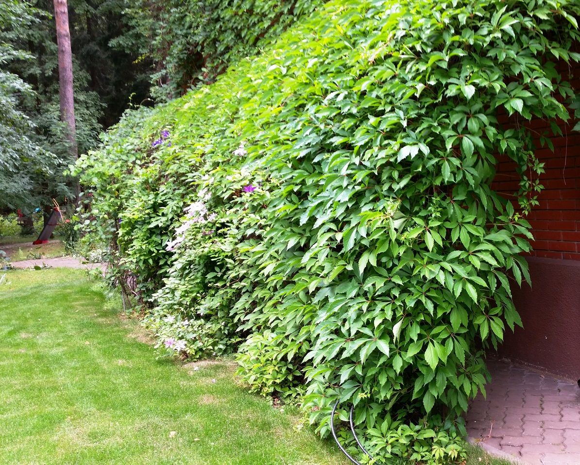 Проект Троицкое